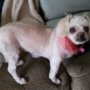 Meet your Posher, Deborah